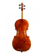 Violin Schönbach Violoncello