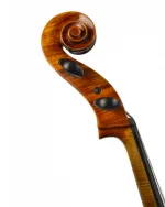 Violin Schönbach Violoncello