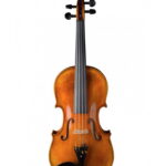 Violin Schönbach Golden/Brown