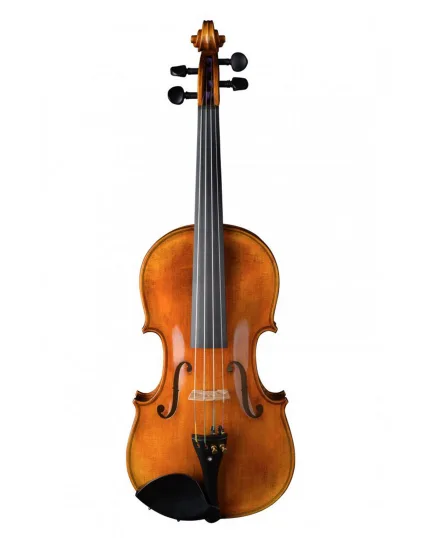 Violin Schönbach Golden/Brown