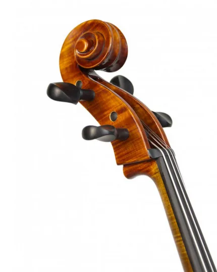 Violin Schönbach Violoncello
