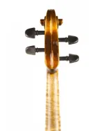 Violin Schönbach Inferno