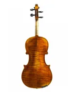 Violin Schönbach Inferno