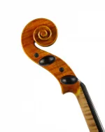 Violin Schönbach Viola 40,7
