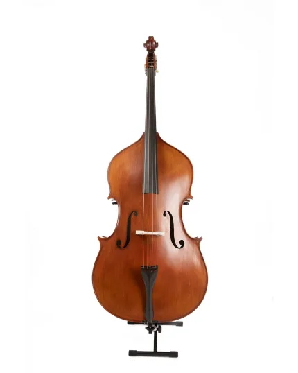 Gliga Double-Bass Workshop GEMS 1