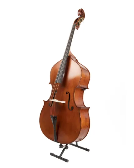 Gliga Double-Bass Workshop GEMS 1