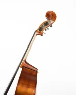 Gliga Double-Bass Workshop GEMS 1