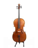 Gliga Cello Intermediate GEMS 2