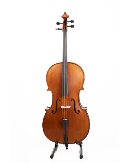 Gliga Cello Intermediate GEMS 2