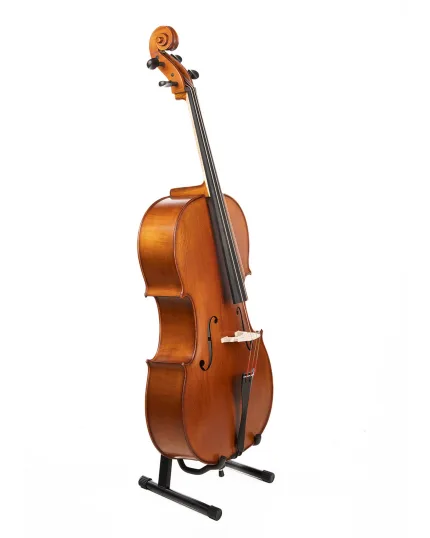 Gliga Cello Intermediate GEMS 2