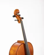 Gliga Cello Intermediate GEMS 2