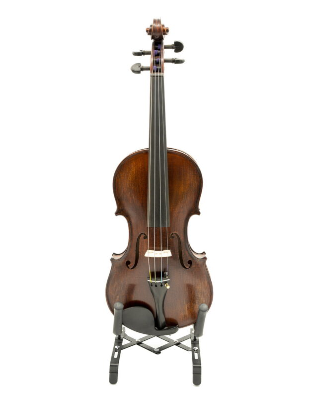 Gliga Violin Antiqued 'GAMA' Advanced/Professional