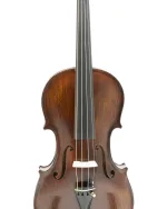 Gliga Violin Antiqued 'GAMA' Advanced/Professional