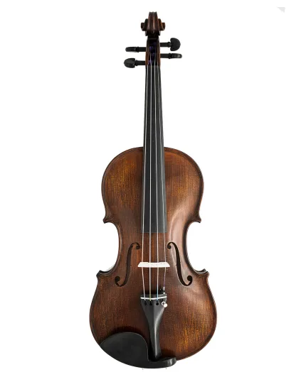 Gliga Violin Antiqued 'GAMA' Advanced/Professional