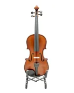 Gliga Violin Workshop GEMS 1