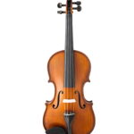 Gliga Violin Workshop GEMS 1