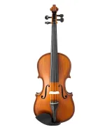 Gliga Violin Workshop GEMS 1