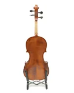Gliga Violin Intermediate 'GEMS 2'