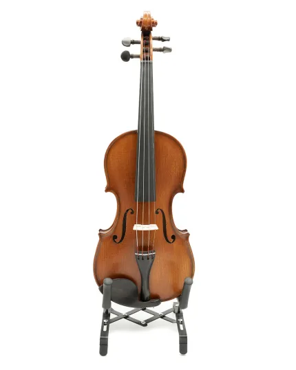 Gliga Violin Intermediate 'GEMS 2'