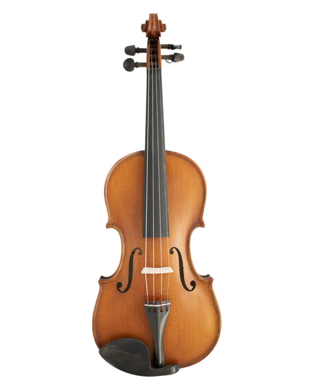 Gliga Violin Intermediate 'GEMS 2'
