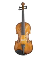 Gliga Violin GENIAL 2-Nitro Beginner/School