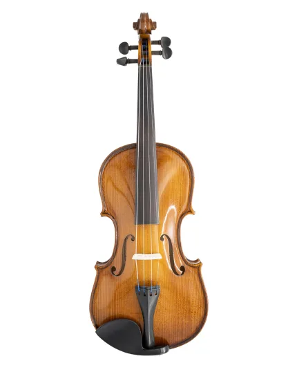 Gliga Violin GENIAL 2-Nitro Beginner/School
