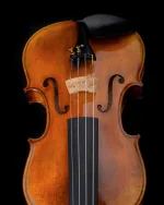 Violin Schönbach Golden/Brown