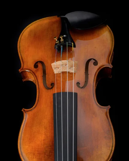 Violin Schönbach Golden/Brown