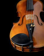 Violin Schönbach Golden/Brown