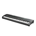 KURZWEIL KA90 LB: Portable Digital Piano (Matte Black)