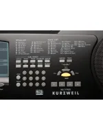 KURZWEIL KP120A | Digital Stage Piano (Black)