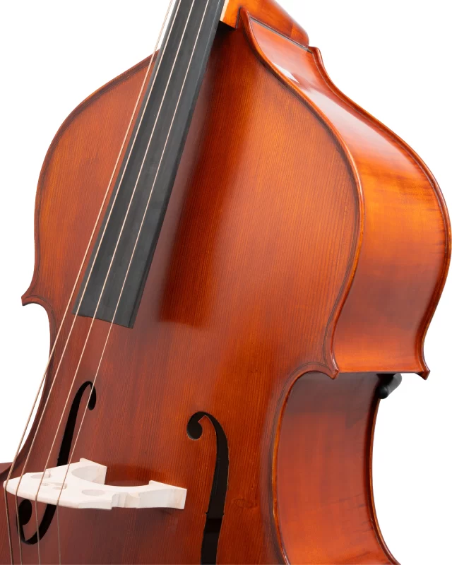 Gliga Double Bass 4/4 Advanced Workshop Gems l