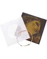 Pirastro Evah Pirazzi Gold Violin G String – G-SI Ball-End