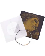 Pirastro Evah Pirazzi Gold Violin G String – G-SI Ball-End