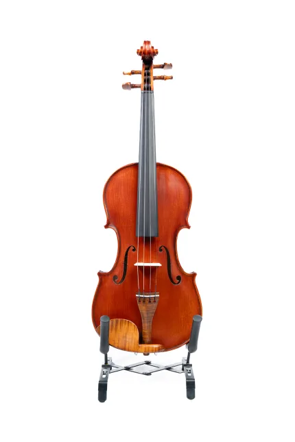 Gliga Student Gloria 4/4 Violin – Handcrafted for Beginners
