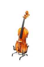 Gliga Advanced Genova 4/4 Violin – Handcrafted for Advanced Players