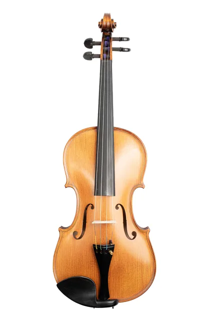 Gliga Gliga Gama 4/4 Violin – Handcrafted for Professionals