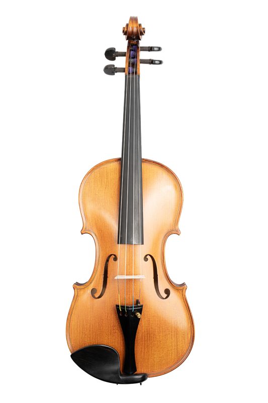 Gliga Gliga Gama 4/4 Violin – Handcrafted for Professionals