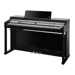KURZWEIL CUP P1 Digital Piano Polished (Black)