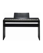 KURZWEIL KaE1 Portable Digital Piano (Black)
