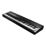 KURZWEIL KaE1 Portable Digital Piano (Black)