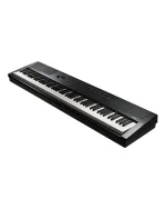KURZWEIL KaE1 Portable Digital Piano (Black)