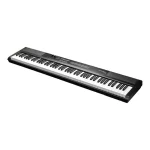 KURZWEIL KaS1 Portable Digital Piano (Black)