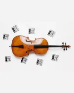 Thomastik-Infeld Peter Infeld Violoncello PI400