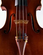Thomastik-Infeld Rondo Violin RO100