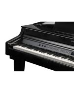 KURZWEIL CUP G1W - keyboard and controls close-up