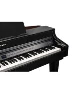 KURZWEIL CUP G1W - control panel and keys detail