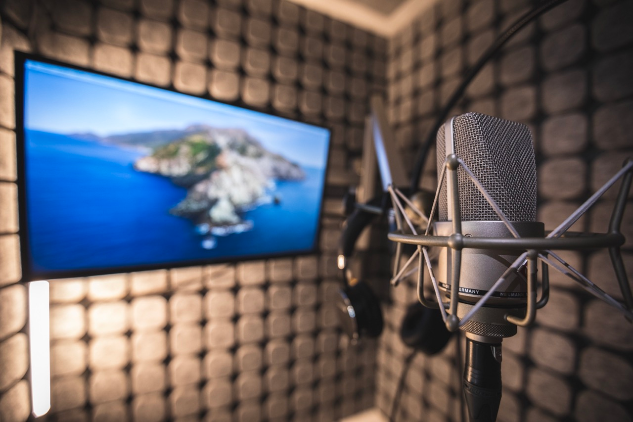 Recording microphone detail